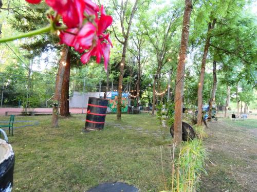 a red flower in a park with trees at Hotel Rural Camino Medulas in Ponferrada
