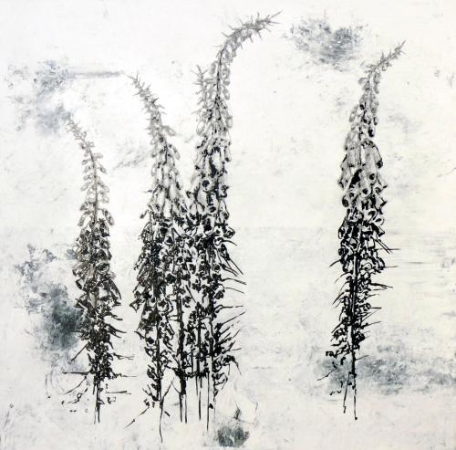 a drawing of some plants in the snow at A l'Aube des Volcans in Charbonnières-les-Vieilles