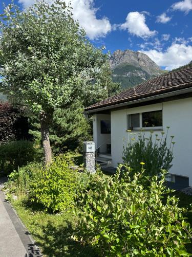 a house with a tree and a mountain in the background at Apartment Blick Lischana- ein Traum mit Bergpanorama, Sauna, Hottub in Scuol
