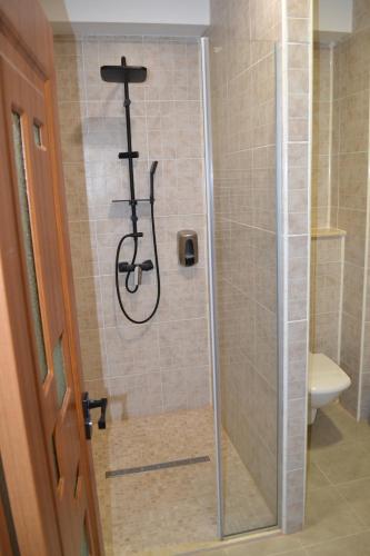 une douche avec une porte vitrée dans une salle de bain dans l'établissement Le Soleil de Paris, à Eforie Nord