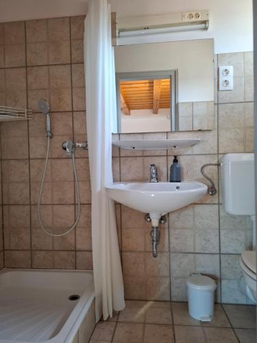 a bathroom with a sink and a shower and a mirror at Família Apartmanház in Keszthely