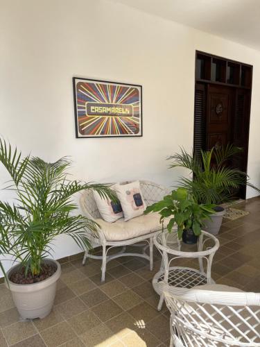 a living room with a couch and potted plants at Studio Sol - 3 min do Mossoró Cidade Junina in Mossoró