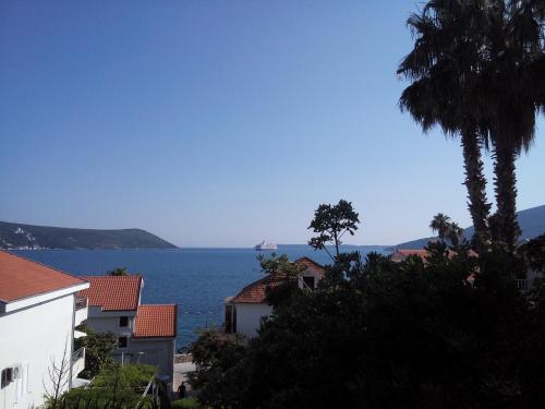 Naturlandskabet i nærheden af lejligheden