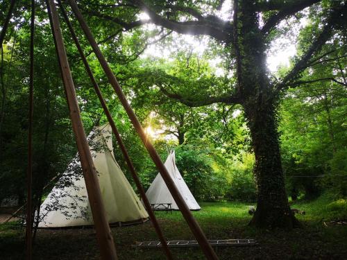 a group of tents sitting under a tree at grand tipi traditionnel pour 2 à 5 personnes in Montbrun