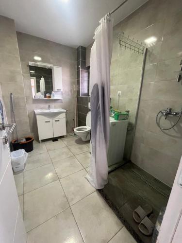 a bathroom with a shower with a toilet and a sink at Aia Holiday Home in Sarajevo
