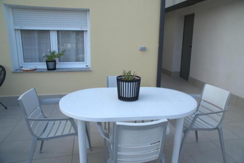 a white table with chairs and a potted plant on it at Albergue EL CASTILLO in Sarria