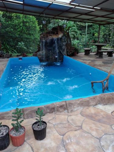 a swimming pool with a waterfall in a backyard at Cabaña escondida Venecia in Venecia