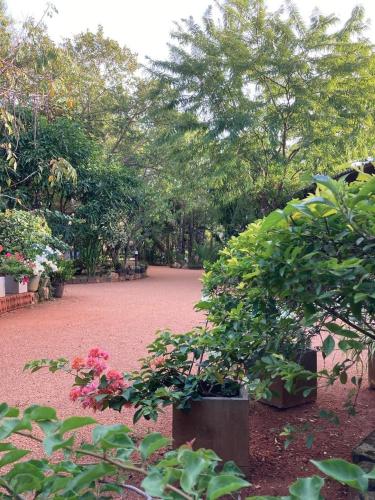 a garden with pink flowers and trees and a dirt road at Sunshine Resort Sigiriya in Sigiriya