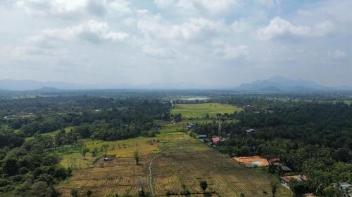 an aerial view of a field with mountains in the background at Sunshine Resort Sigiriya in Sigiriya