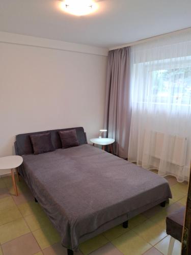 a bedroom with a large bed and a window at Apartamentai Ventėje in Ventė