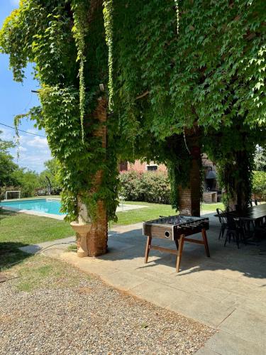 a picnic table under a tree next to a pool at Cascina Coccione in Predosa