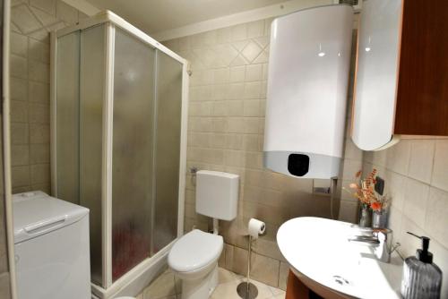 a bathroom with a toilet and a shower and a sink at Monolocale sulle piste in Champsil