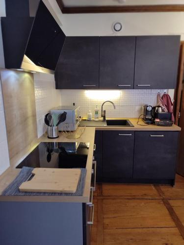 eine Küche mit schwarzen Schränken und einer Spüle in der Unterkunft Elegant deux pièces au centre de Sélestat in Sélestat