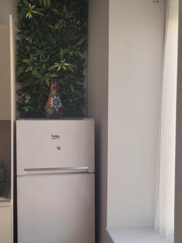 a refrigerator with a plant on top of it at Appart 2 chambres *Notre bout du monde* in Brest