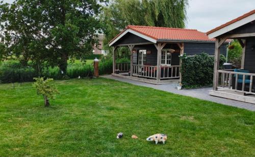 a yard with some animals in the grass at Het baken van Tholen met Wellness en Theetuin in Sint Maartensdijk