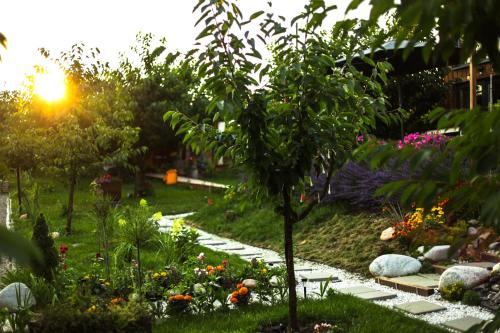 a garden with a tree and a pathway at Czereśniowe Wzgórze Sandomierz jakuzzi in Sandomierz