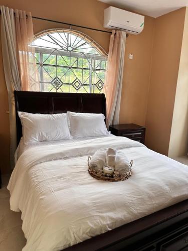 Gallery image of Livingwell Homes Jamaica 