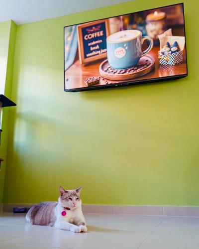 a cat sitting on the floor under a picture of a cup of coffee at Hotel Marovi in Santa Marta