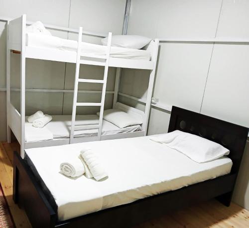 Una cama o camas en una habitación de Camping Ullishtja