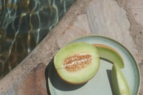 Toit of the luxury tent aladel või selle läheduses