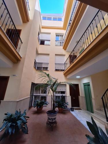 Comfortable Studio in the centre of Malaga