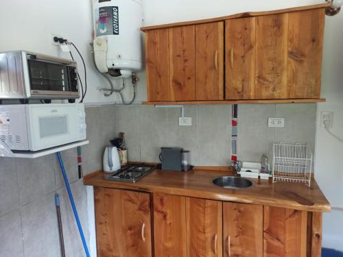a kitchen with wooden cabinets and a sink and a microwave at Cabañas Noscohue in Villa General Belgrano