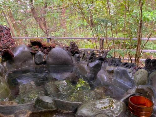 a pool of water with rocks and trees at Ryuuei in Kawazu