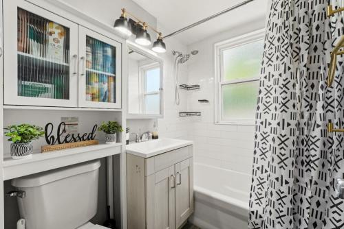 a bathroom with a sink and a shower curtain at Hamaline Luxury Guest House in Chicago