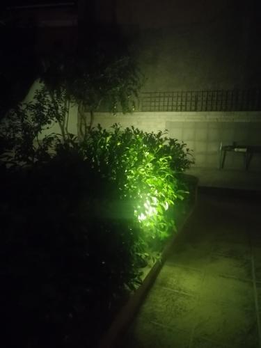 Zahrada ubytování Fella Chalkida