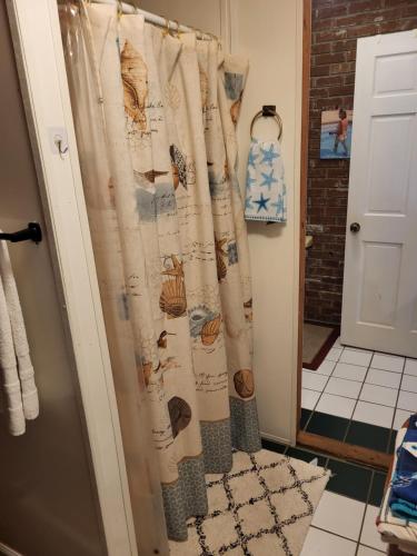 a shower curtain in a bathroom with a doorway at Poolhouse Adults Only in Jesup