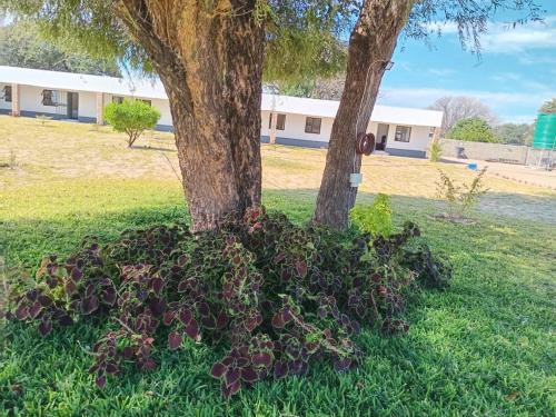 Φωτογραφία από το άλμπουμ του Ndiyona guesthouse kavango east σε Rundu