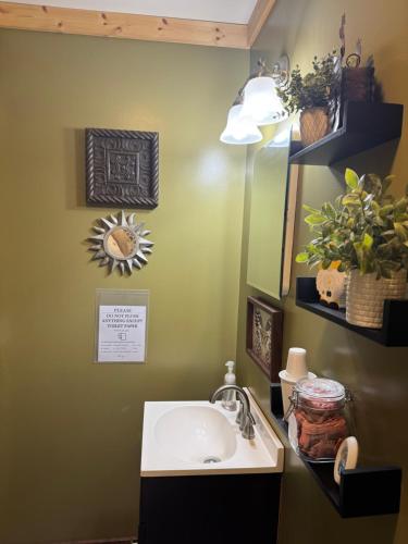 a bathroom with a sink and a mirror at S and S Homestead in Rochester