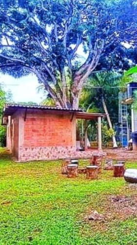 a small building in the grass with a tree at Cabaña desde 4 huéspedes 560 metros cuadrados con Naturaleza a 300 metros mar in Necoclí