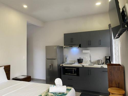 Kuchyň nebo kuchyňský kout v ubytování Hotel Uvita Forest
