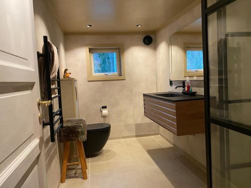 a bathroom with a black toilet and a sink at Drangedal Cabin House in Drangedal