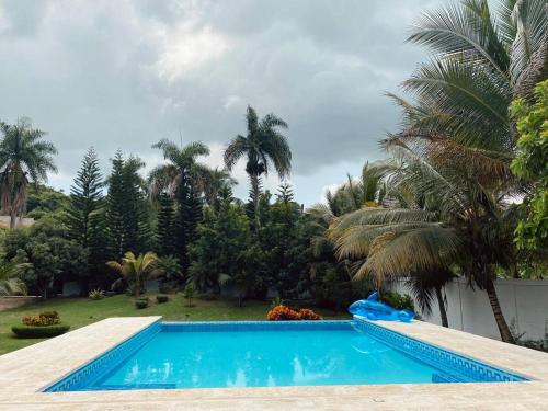 a swimming pool in a yard with palm trees at Villa Emilia - San Cristóbal, Dominican Republic in San Cristóbal