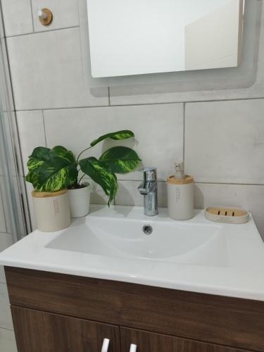 a bathroom sink with two potted plants on it at Nature bay in Pointe-à-Pitre