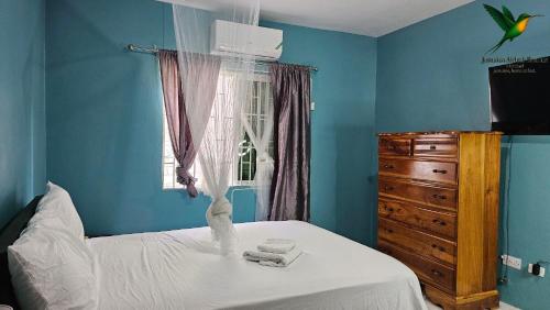 モンテゴ・ベイにあるJamaica Bnb Rentals ltdの青い壁と窓のあるベッドのある寝室