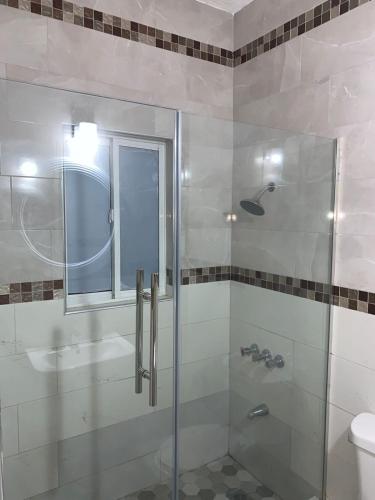 un bagno con doccia, lavandino e WC di Border love apt 3 a Kingston