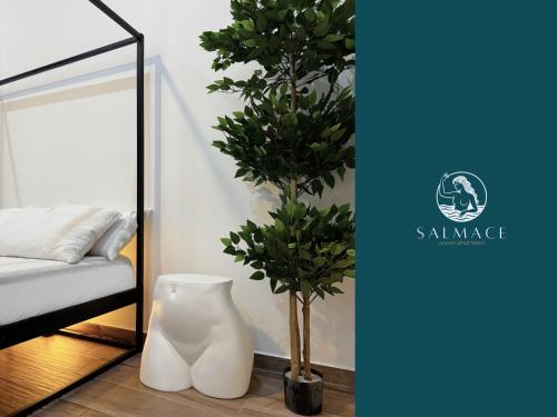 a room with a plant in a vase next to a mirror at Salmace Luxury Apartment Jacuzzi privato in Bari