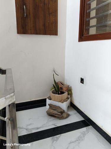 a corner of a room with a plant in a pot at BELLA VISTA Homestay BNB in Zirakpur