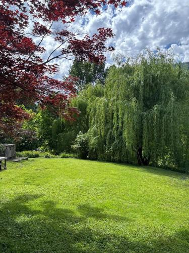 a park with a bench and a weeping willow tree at Bright, Spacious Home with Lake & Mountain Views, Walk to Beach in Nelson