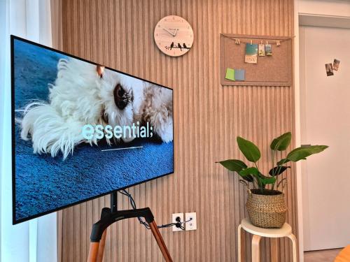 TV a/nebo společenská místnost v ubytování Hi Cloud 김포공항