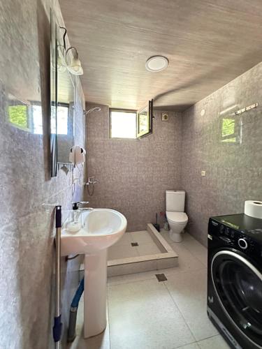 un bagno con lavandino e lavatrice di Heshkili huts and cabins Svaneti a Keshkili