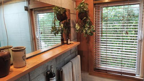 a bathroom with a sink and a mirror and two windows at Gully hideaway apartment in Hamilton