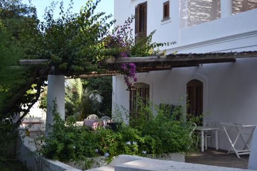 a garden in front of a white house with flowers at Casa Schicciola in Stromboli