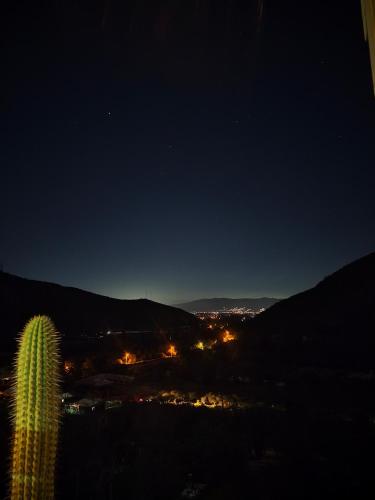 a night view of a desert and a cactus at Posada Vista Hermosa Colibri in Lo Narváez