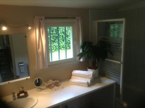 a bathroom with a sink and a window and a plant at Charmante Petite Maison dans le Jardin in Letteguives