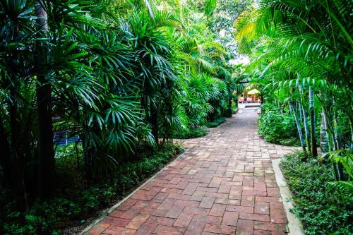 a brick path through a garden with palm trees at Baanpong Lodge in San Kamphaeng