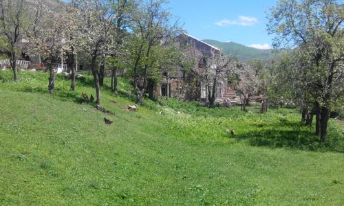 Paisaje cerca de este hostal o pensión